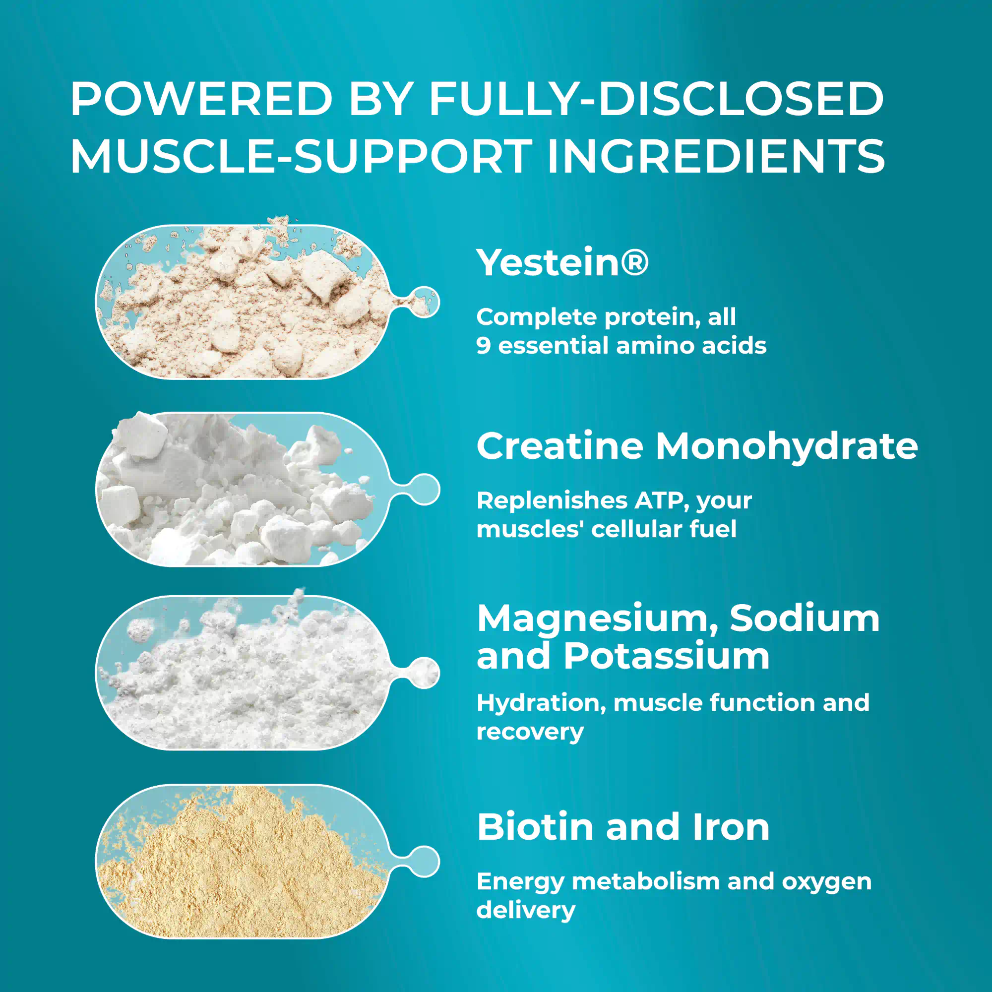 Yeast Protein + Creatine + Hydration
