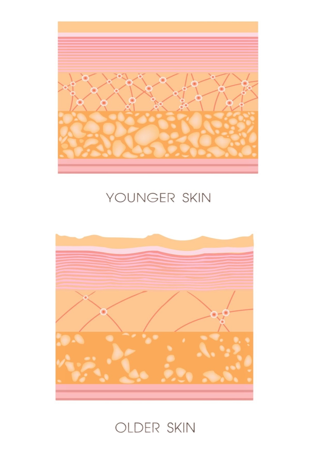 younger older skin