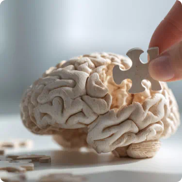 Brain puzzle